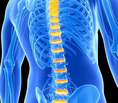 Kev Tshawb Fawb Txog Kev Txhawb Ntsig: Yuav Ua Li Cas Xianku Ntsuas Scoliosis, Pelvic Tilt & Posture